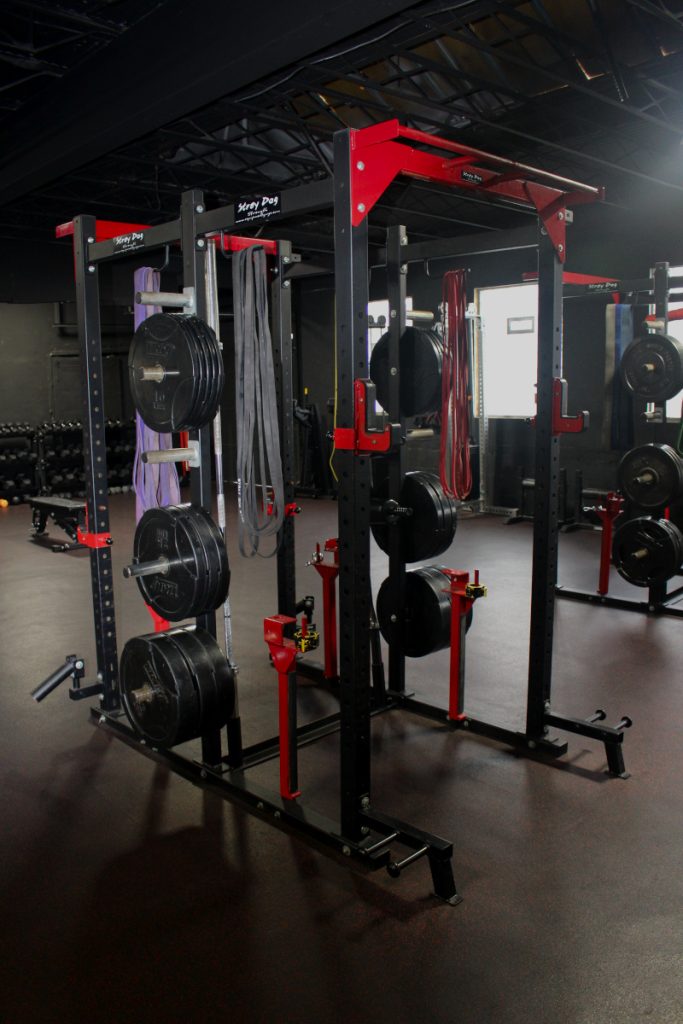 Shoulder Press Rack With Straps